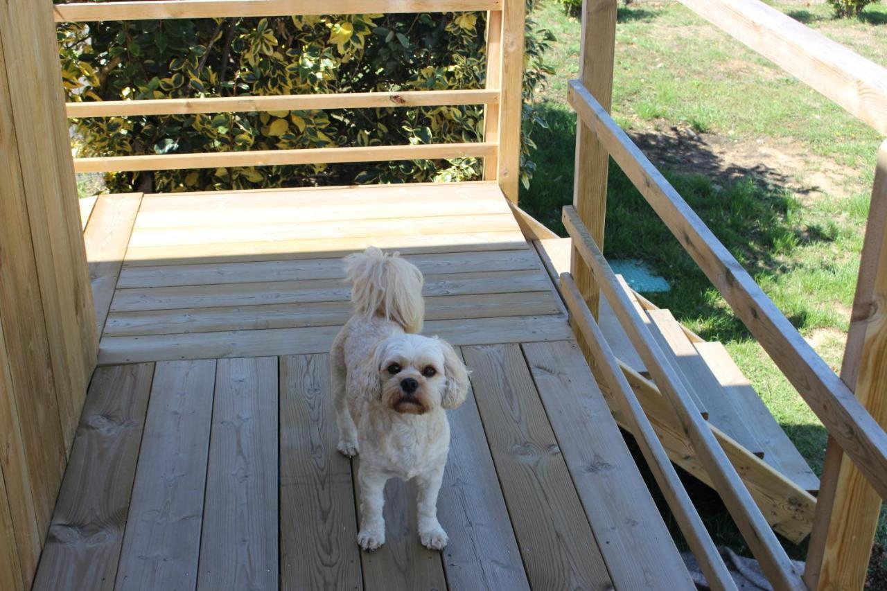 Tiny House Dans Jardin Arbore Perros-Guirec Exteriér fotografie